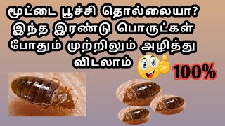 மூட்டை பூச்சியை  முற்றிலும் அழிப்பது எப்படி|How To Kill Bedbugs|Part-2|Tamil Twins Sathu Vithu