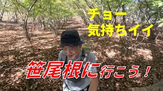 【ぴんきり低山巡り】笹尾根縦走14.7km　西原峠から浅間峠　上野原駅から郷原バス停スタート・新山王橋バス停ゴール　2024/11/4