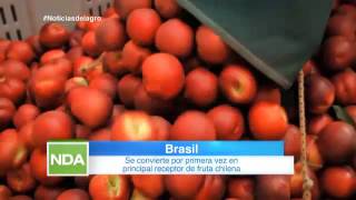 Brasil se convierte por primera vez en principal receptor de fruta chilena