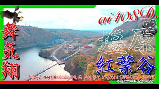 森林の駅 大吊橋 紅葉谷公園 HEVC 4K10bit2020HLG DOLBY VISION SPECIAL EDIT ai408D