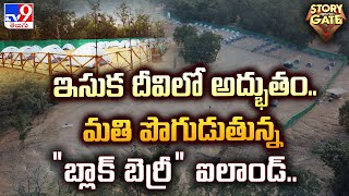 Story Gate : ఇసుక దీవిలో అద్భుతం..మతి పొగుడుతున్న “బ్లాక్ బెర్రీ” ఐలాండ్.. | Blackberry island | TV9