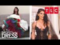 Kleinfeld’s Most Colorful Dresses | Say Yes to the Dress | TLC