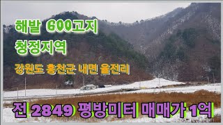 강원도 홍천 해발 600고지 청정지역~ 토지 매매합니다