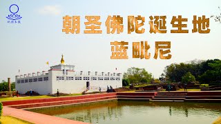 【81】朝圣之旅（6）：佛陀诞生地-尼泊尔蓝毗尼