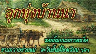 รวมเพลงลูกทุ่งบ้านนา เพลงเก่าเพราะๆฟังติดหู