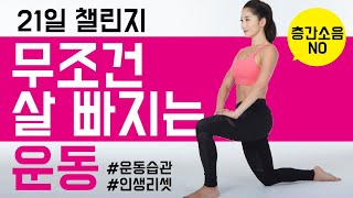 (21일챌린지_12일차) 따라만 하면 무조건 살 빠지는 운동