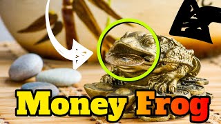 Feng Shui Money Frog - How to Place & Caring Feng Shui Money Frog