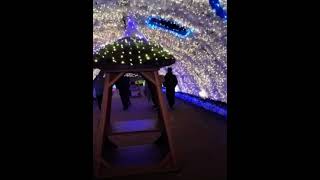 #tokinosumika(gotemba illumination