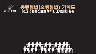 총통침법(오행침법) 10.2 수궐음심포의 병리와 오행혈의 활용