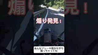 【No.668】スー バイクチャンネル 煽り運転発見！ Tailgating #shorts