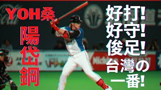 #1 陽岱鋼 北海道火腿時期精華 北海道日本ハムファイターズ Fighters highlight part 2