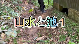 山水と池