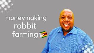 How to start a rabbit farming business in Zimbabwe.