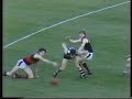 1984 essendon v geelong round 18 vfl park