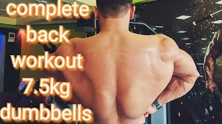 back workout home par complete only 7.5kg dumbbells