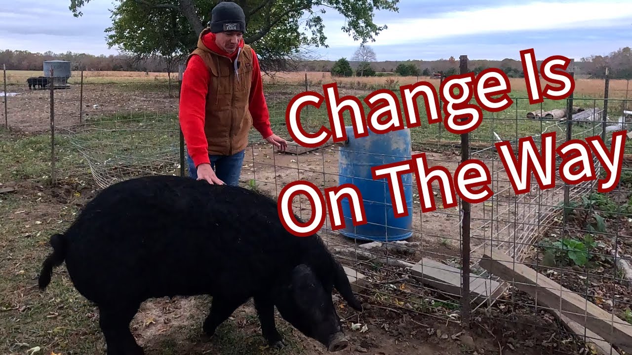 Big Changes For Our Small Scale Farm Youtube