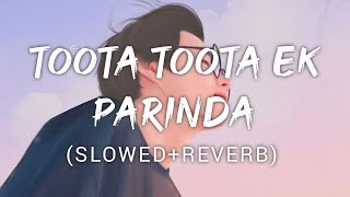 Toota Toota Ek Parinda | Kailash kher | Music Lyrics