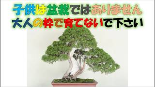 【子供を脅すしつけ】命令口調で怒鳴れば、子供の才能を潰し、自己肯定感がなくなっていく