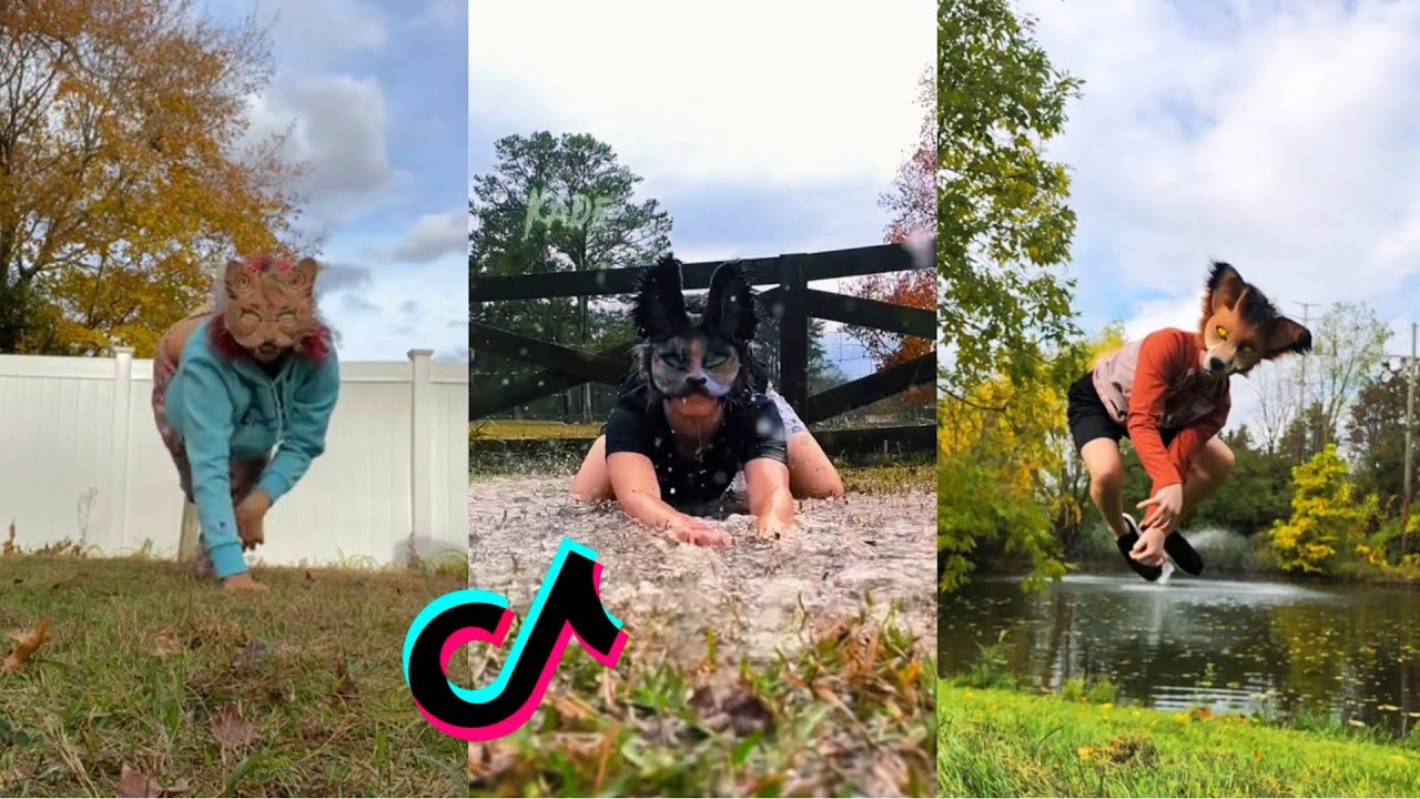 Therian Tiktok Compilation 4 Youtube