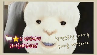 [하이라이트/양요섭] 세상에서 양요섭이 제일 귀여운거같지??  아니 온 우주에서 양요섭이 제일귀여워🌟