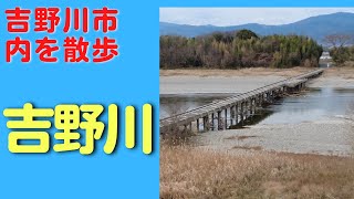 吉野川市内を散歩|吉野川