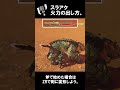 スラアク火力の出し方。フルリリーススラッシュ気持ち良すぎだろ！！ monsterhunterwilds モンハンワイルズ スラッシュアックス