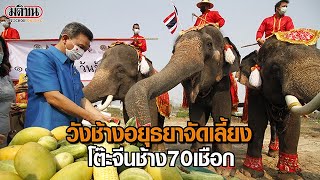 วังช้างอยุธยา จัดเลี้ยงโต๊ะอาหารช้างกว่า 70 เชือก เนื่องในวันช้างไทยปี 2564 : Matichon Online