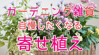 おしゃれに『ガーデニング』ガーデニング雑貨で可愛い寄せ植え作り。初心者ガーデニングを楽しむ方にオススメです♡