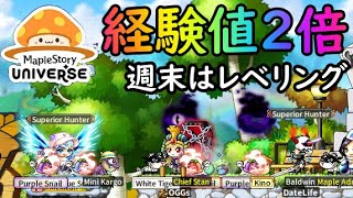 【メイプルN】13日、14日は経験値2倍キャンペーン！！激熱！【MapleStory Universe】