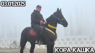 СОЛОХИДДИН ПОЛВОНДАН ОТНИГ КОРА КАШКАСИ СОТИЛАДИ  !..