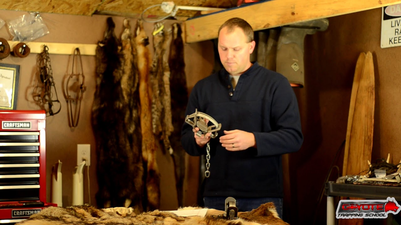 Predator Trapping Tutorial Youtube