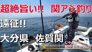 関アジ/大アジ/アジ/釣り/大分県/佐賀関/サビキ釣り/じゃっくの釣りましょうvol.18