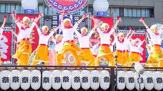 [4K]だったらあげちゃえよ　安濃津よさこい2017 10/8(日) お城西公園会場(中央)