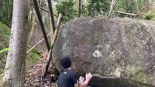 豊田　大田竹藪　馬手　ｅ