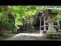 【京都の新緑】京都嵐山の新緑を巡る一人旅vlog【4k】