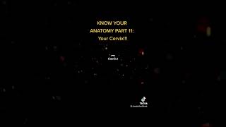 KNOW YOUR ANATOMY PART ELEVEN!!! The Cervix! #anatomy #physiology #womenshealth #women #midwife