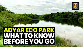 Adyar Eco Park ! What To Know Before You Go? | Madras Updates