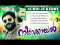 ഹൃദയം കവർന്ന ഗാനങ്ങൾ നിലാകായൽ shafi kollam songs shefeek rahman new malayalam album song