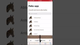 How to install the palioapp on your phone (IPHONE)