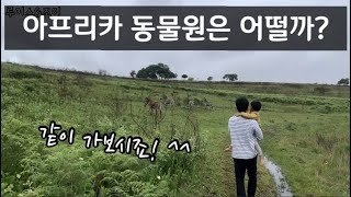 🇸🇿 Africa eSwatini Vlog 아프리카 에스와티니 브이로그 / 아프리카 동물원은 어떨지? 함께 해요 ^^