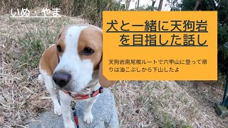 【天狗岩南尾根】ビーグル犬と一緒に六甲山に登った話