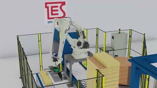 TES STM GROUP Palletization System PAL 1