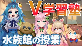 【  #V学習塾  /  芸人 Vtuber  】 学術系 Vが作ったテストを解いて解説してもらう～ 水族館 編～【 イトイシュン / 海月くらら / クッコロ・セツ / ねむねぎ / うぇはす  】