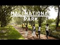 Mali National Park|  BAMAKO MALI 🇲🇱