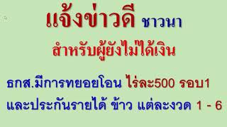 แจ้งข่าวดี ชาวนาผู้ยังไม่ได้รับเงิน ฟัง ธกส.ยังจะโอนให้อย่างต่อเนื่อง