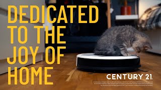 Dedicated to the Joy of Home: Cats