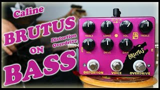 Caline DCP-02 Brutus Distortion Overdrive (Bass Demo)