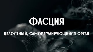 Документальный фильм о Фасции: новые подходы к решению физических и психологических проблем