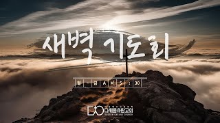 [다세움사랑교회] 2025년 1월 3일 새벽기도회