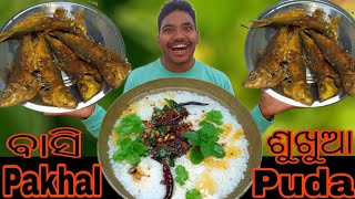 Desi Basi Pakhala \u0026 Sukhua Puda Eating / New Video /In Home #mrpallabakhana #tranding #viral